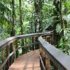 Отель Cinco Ceibas Rainforest Reserve and Adventure Park, фото 32