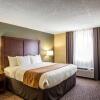 Отель Comfort Inn & Suites Kannapolis - Concord, фото 21