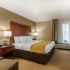 Отель Comfort Inn & Suites, фото 5
