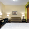 Отель Holiday Inn Express  Atlanta Downtown, фото 19