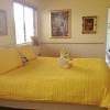 Отель Must Love Dogs B&B & Self Contained Cottage, фото 1