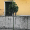 Отель Appartamenti Brunati Street 6, фото 1