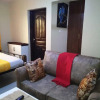 Отель Lux Suites Olepolos Studio Apartments, фото 4