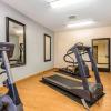 Отель Quality Inn & Suites, фото 14