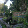 Отель Palm Chalet Resort, фото 4
