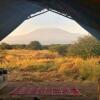 Отель Amboseli Eco Camp, фото 17