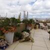 Отель Three Cities Apartments, фото 14