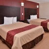 Отель Red Roof Inn Van Horn, фото 24