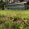 Отель Wilderness Inn Bed and Breakfast, фото 47