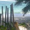 Отель Beach House at Anse Forbans, фото 4