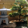 Отель Nakagawa's Cozy House, фото 37