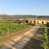 Отель Agriturismo Campesi, фото 13