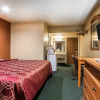 Отель Woodridge Inn and Suites, фото 3