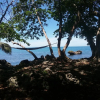 Отель Cahuita Inn, фото 15