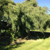 Отель Marsh Farm, фото 8