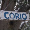 Отель Corio Ski Club в Маунт-Булле