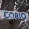 Отель Corio Ski Club, фото 1