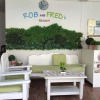 Отель Rob and Fred's Resort, фото 13