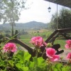 Отель Agriturismo le Spighe - Fattoria Bertaccini, фото 15