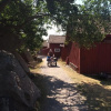 Отель Hamburgö, фото 1