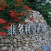 Отель Memedee Manor Homestay, фото 9