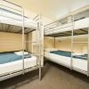 Отель Buller Backpackers - Hostel, фото 4