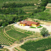 Отель Agriturismo Acinatico Wine Relais, фото 22