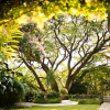 Отель Rancho La Joya, фото 22