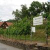 Отель Weingut Schlafgut Genussgut Lorenz, фото 1