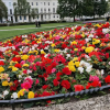 Отель High Columns, фото 32