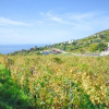 Отель Agriturismo Galletta, фото 11