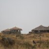Отель Osiligilai Maasai Lodge, фото 40