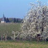 Отель Château de la Motte, фото 20