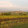 Отель Pension Rudi - Weingut Kellner, фото 7