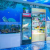 Отель Baolida Hotel (Tonghua Xinzhan Plaza Jingyu Middle School Store), фото 1