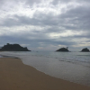 Отель Catian Beach Resort, фото 11