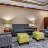 Отель Comfort Inn & Suites, фото 38