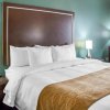 Отель Comfort Inn & Suites в Сан-Маркосе