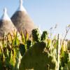 Отель Trullo la Pergola, фото 8