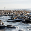 Отель Steeds aan Zee, фото 20