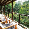 Отель Tree Top Home In A Jungle Like Oasis in San Ignacio, Start Your Adventure Here, фото 4