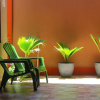 Отель Cabinas Mansión Tropical Quepos, фото 23