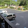 Отель Tampa Inn - Near Busch Gardens в Тампе