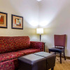 Отель Comfort Suites Stockbridge Atlanta South, фото 15