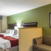 Отель Comfort Suites East / I-44, фото 5