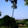 Отель Casa Rural El Cercón, фото 3