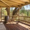Отель Three Wild Turkeys - Amazing Outdoor Spaces!  2 Decks! by Yosemite Region Resorts, фото 18