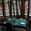 Отель Gods Own Country Ayurveda Resorts, фото 8