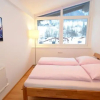 Отель Penthouse LIEBELEI with glacier view, фото 4