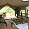 Отель Angalia Tented Camp, фото 5